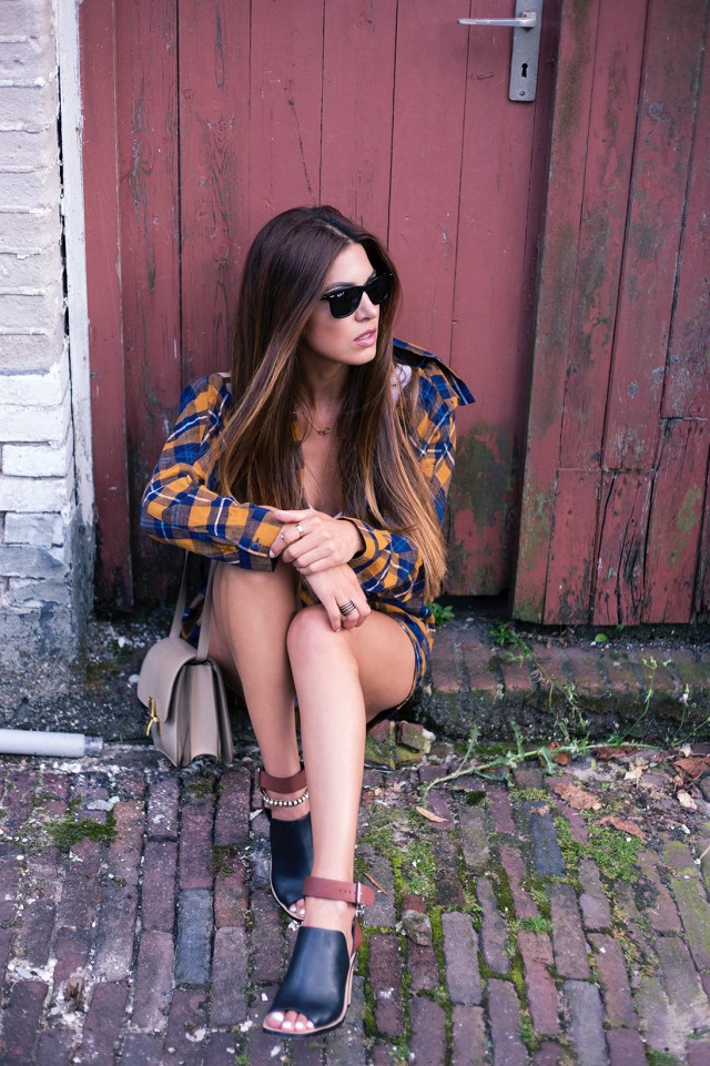 Season Specific Negin Mirsalehi 